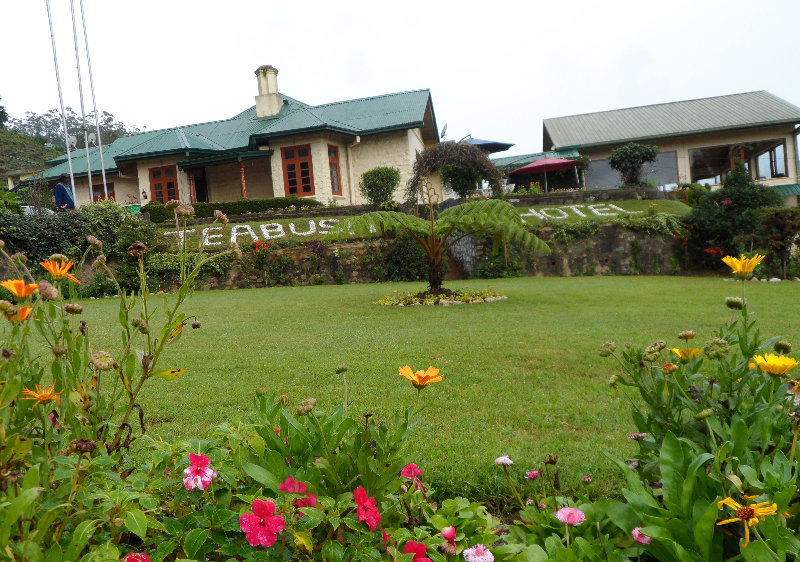 Tea Bush Hotel Nuwara Eliya Exterior photo